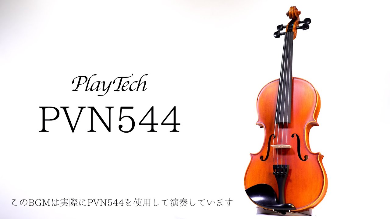 メンテ済み イーストマン バイオリン 4/4 VL80 2017年製 アウト