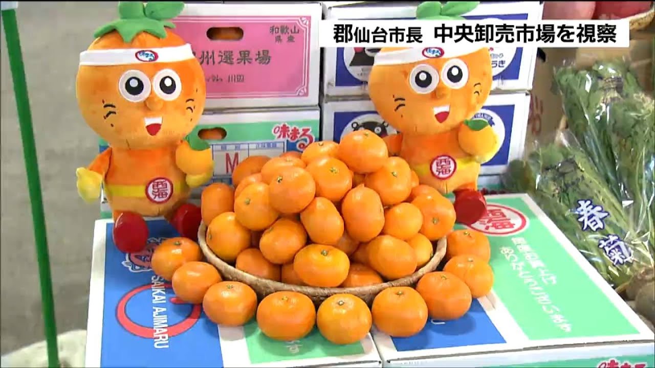 猛暑の影響ミカンの価格2割ほど上昇」年末に向け野菜・果物・水産物は