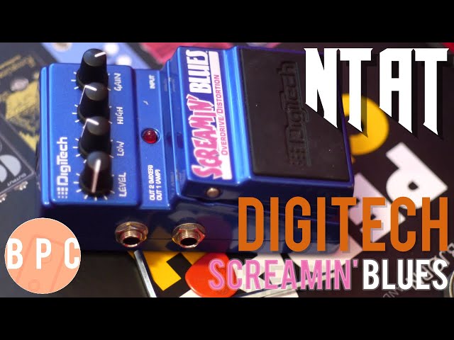 Discover the SECRET Tone of the Digitech Screamin' Blues - YouTube