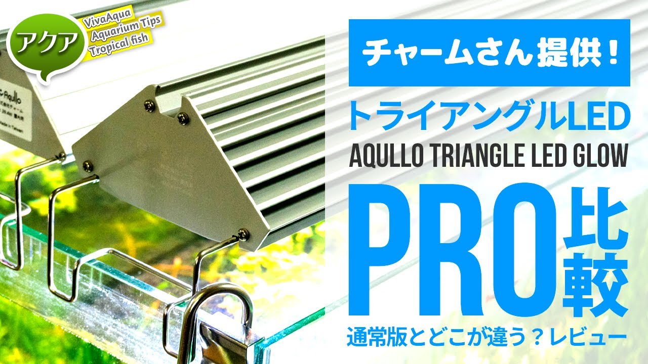Will it surpass the strongest LED? Review of Acro Triangle Glow