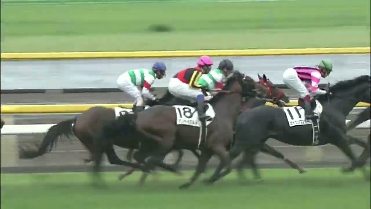 第77回日本ダービー エイシンフラッシュ - YouTube