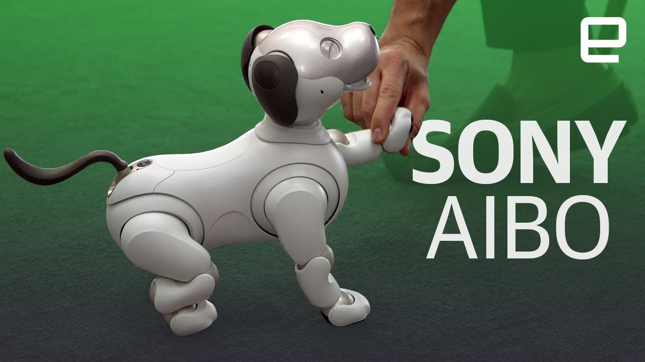 Sony's new Aibo robot first look - YouTube