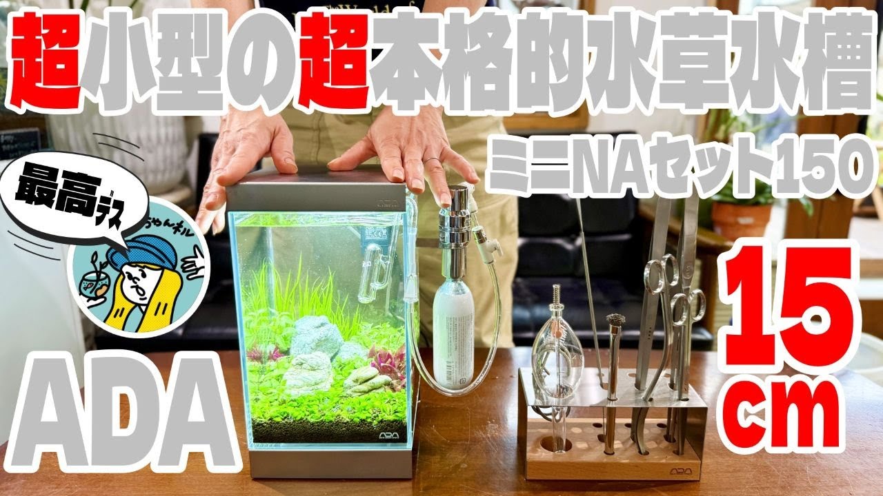 Aquarium] You can create a super-realistic Nature Aquarium tank in