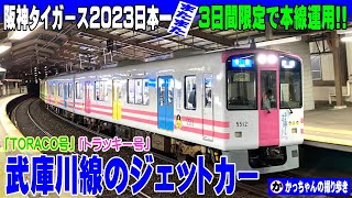 行先板サボ 大阪ー東京×大阪ー名古屋 東海道本線急行なにわ比叡153系
