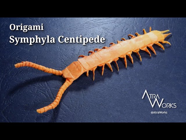 折り紙】ムカデの折り方 Centipede Origami - YouTube