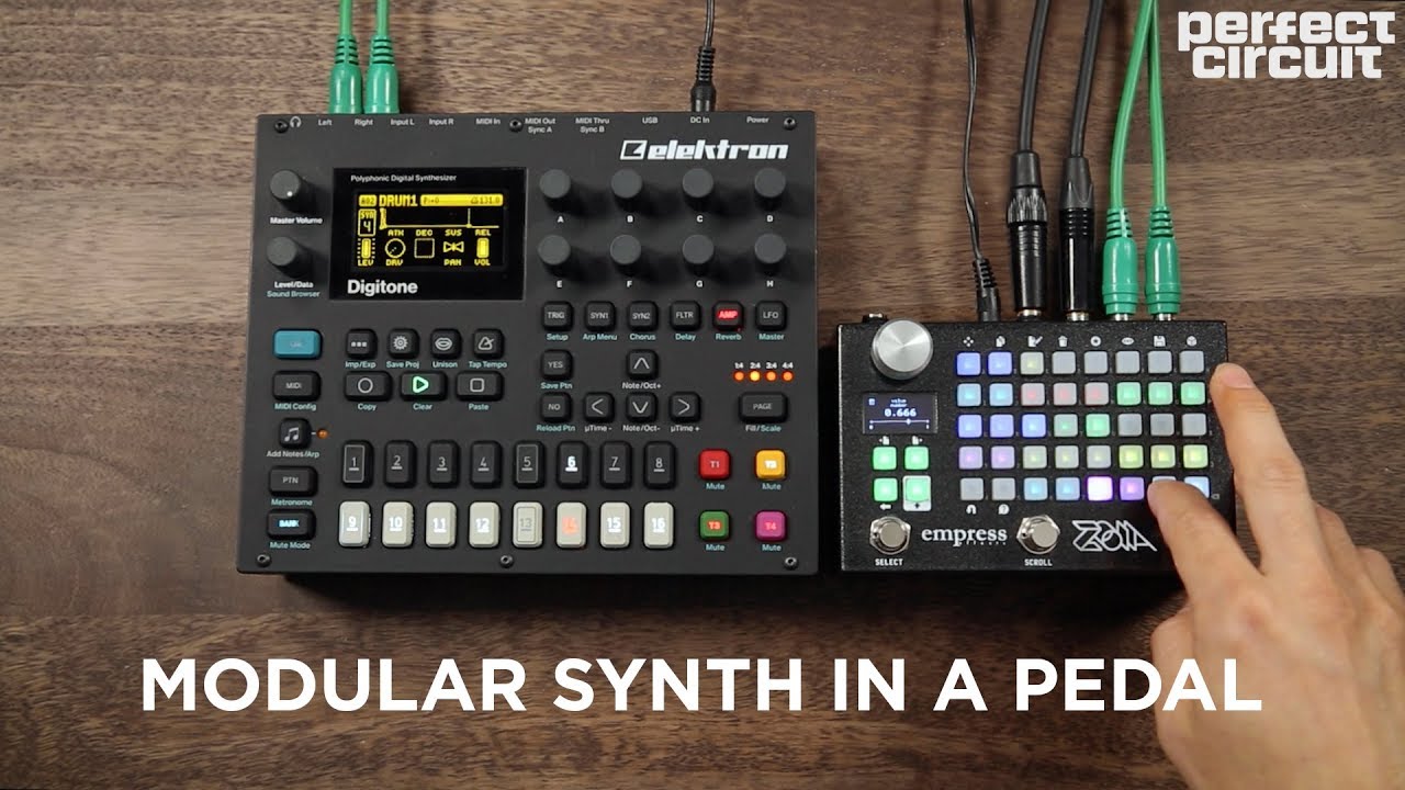 Empress Effects ZOIA Modular Multi-Effect Pedal - Perfect Circuit