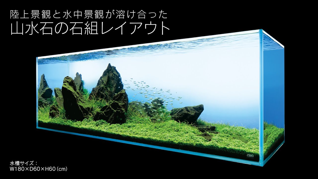 ⑤ADA山水石 約8kg有り 存在感有り！ ADA 山水石8個
