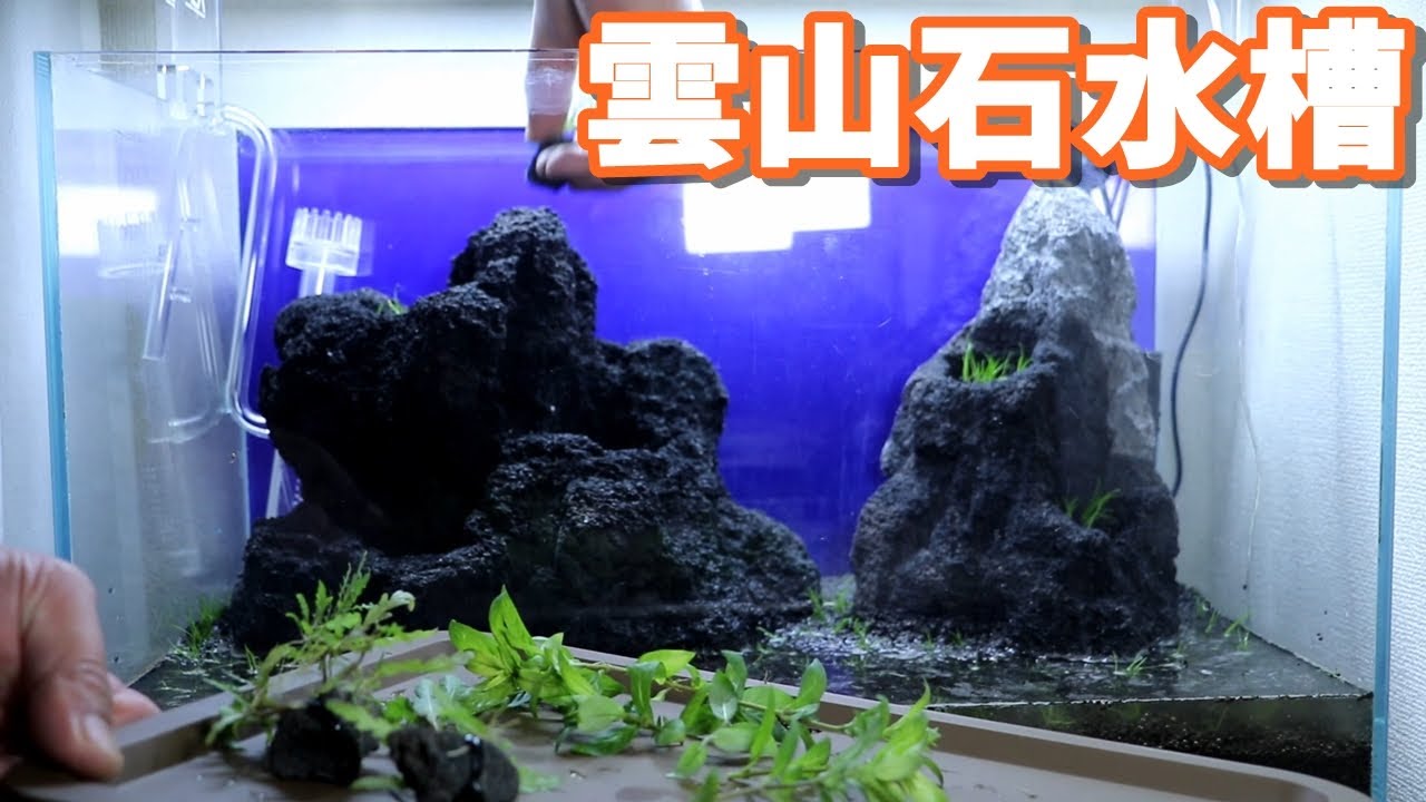 ADA 雲山石 XL 水槽用レイアウト石 ADA 雲山石 XL 水槽用レイアウト石