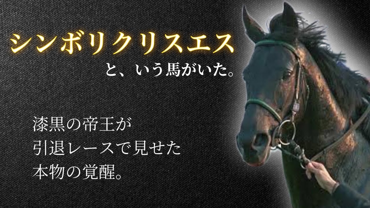 JRA ヒーロー列伝ポスター NO.55 シンボリクリスエス 第126回 天皇賞