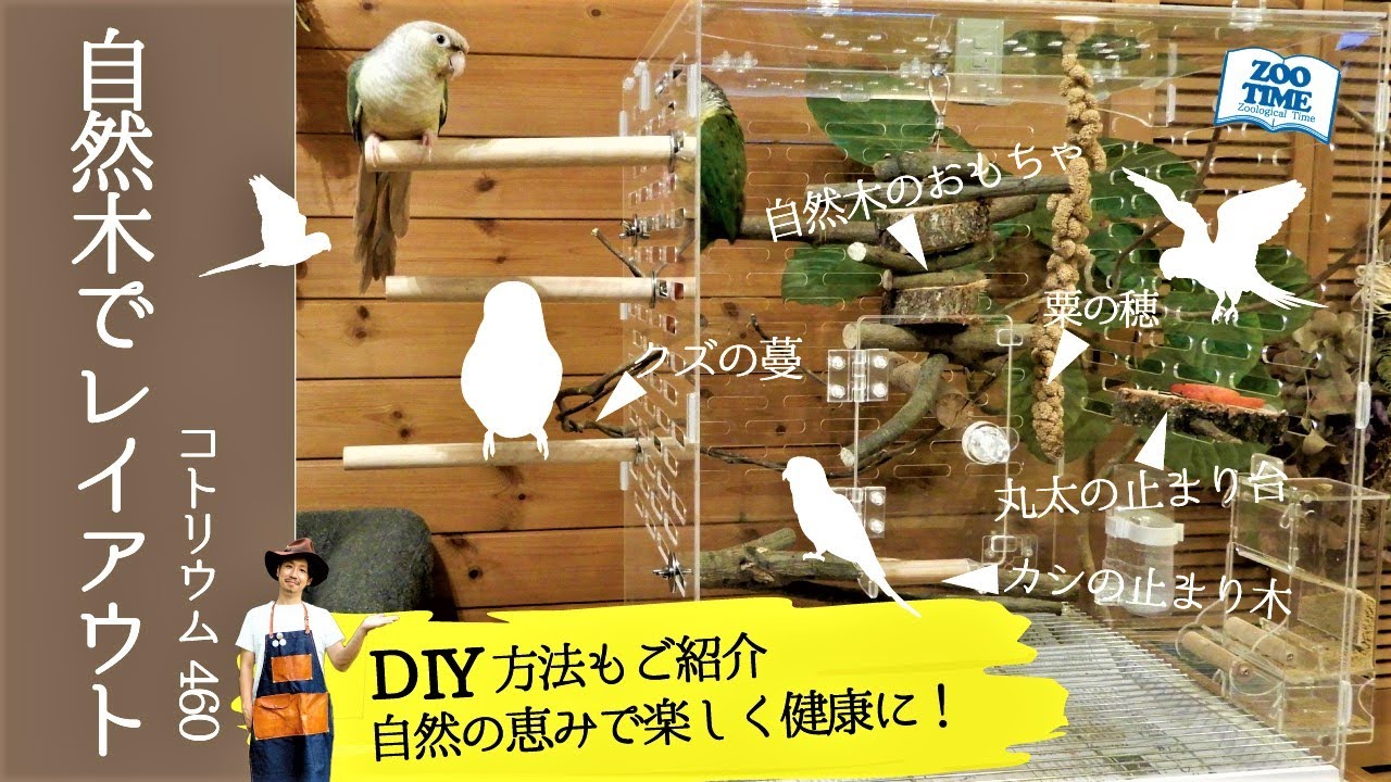 ☆【インコの幸せ空間DIY】自然木でレイアウト コトリウムをカスタム