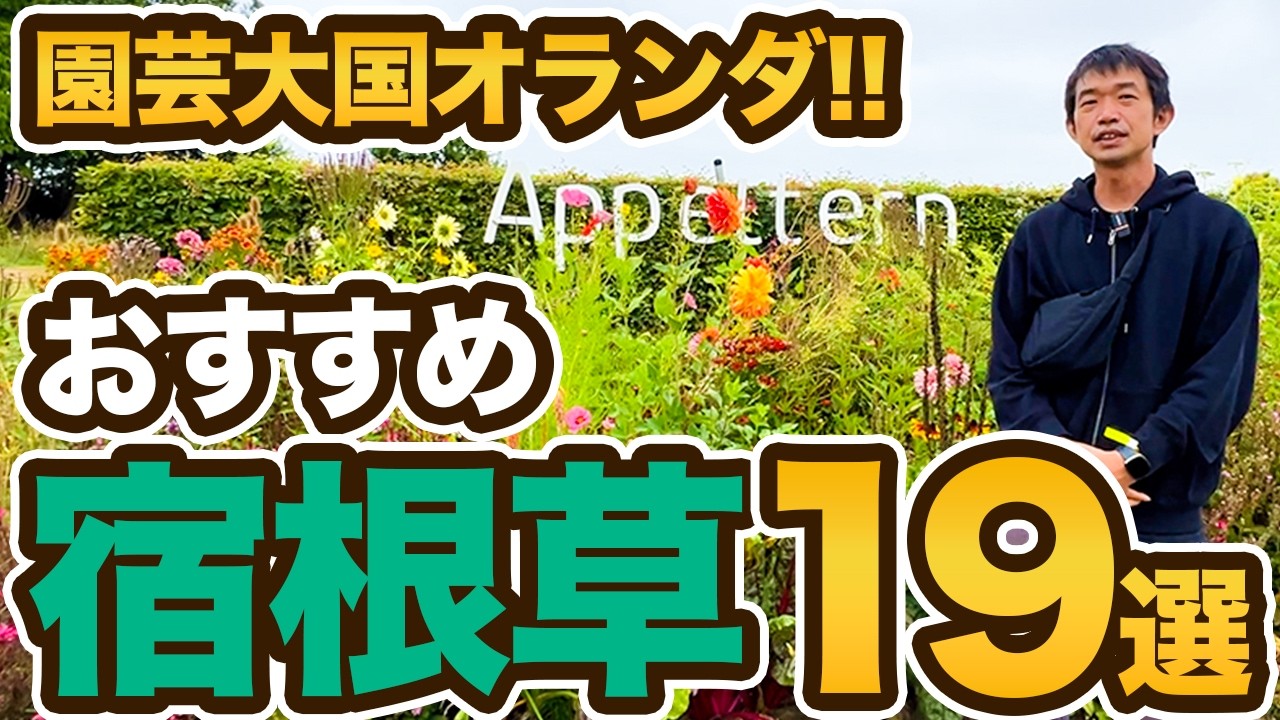 Jerry 鵜飼 ストレンジャー Watering the Garden Jerry 鵜飼