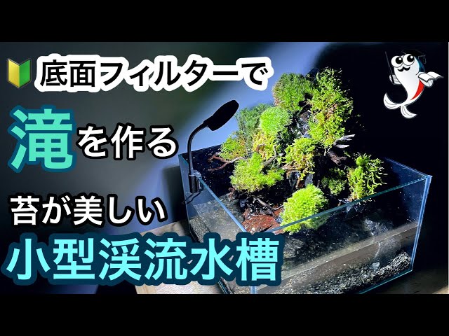滝の流れるアクアテラリウムNo.1142