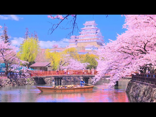 ジグソーパズル】「久遠寺の朧桜」屏風画 ジグソーパズル】「久遠寺の