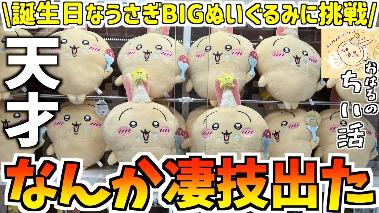 ちいかわ 誕生日なうさぎBIGぬいぐるみ 15個セット ② ちいかわ】最新