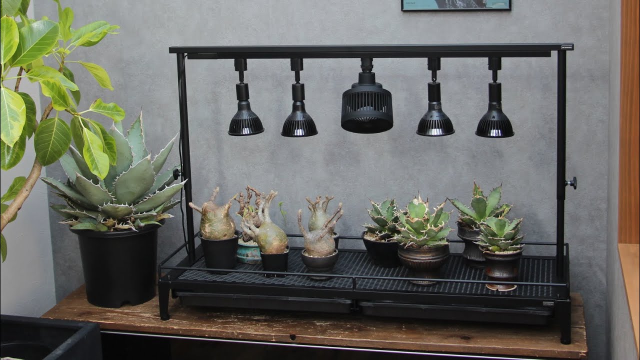 LIM IRON CRAFTの1段植物棚のご紹介 - YouTube