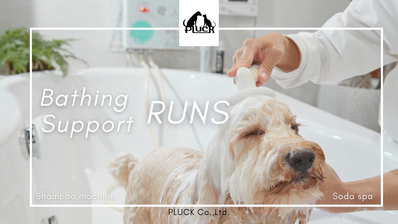 シャンプーマシン使用動画/ランズ - YouTube