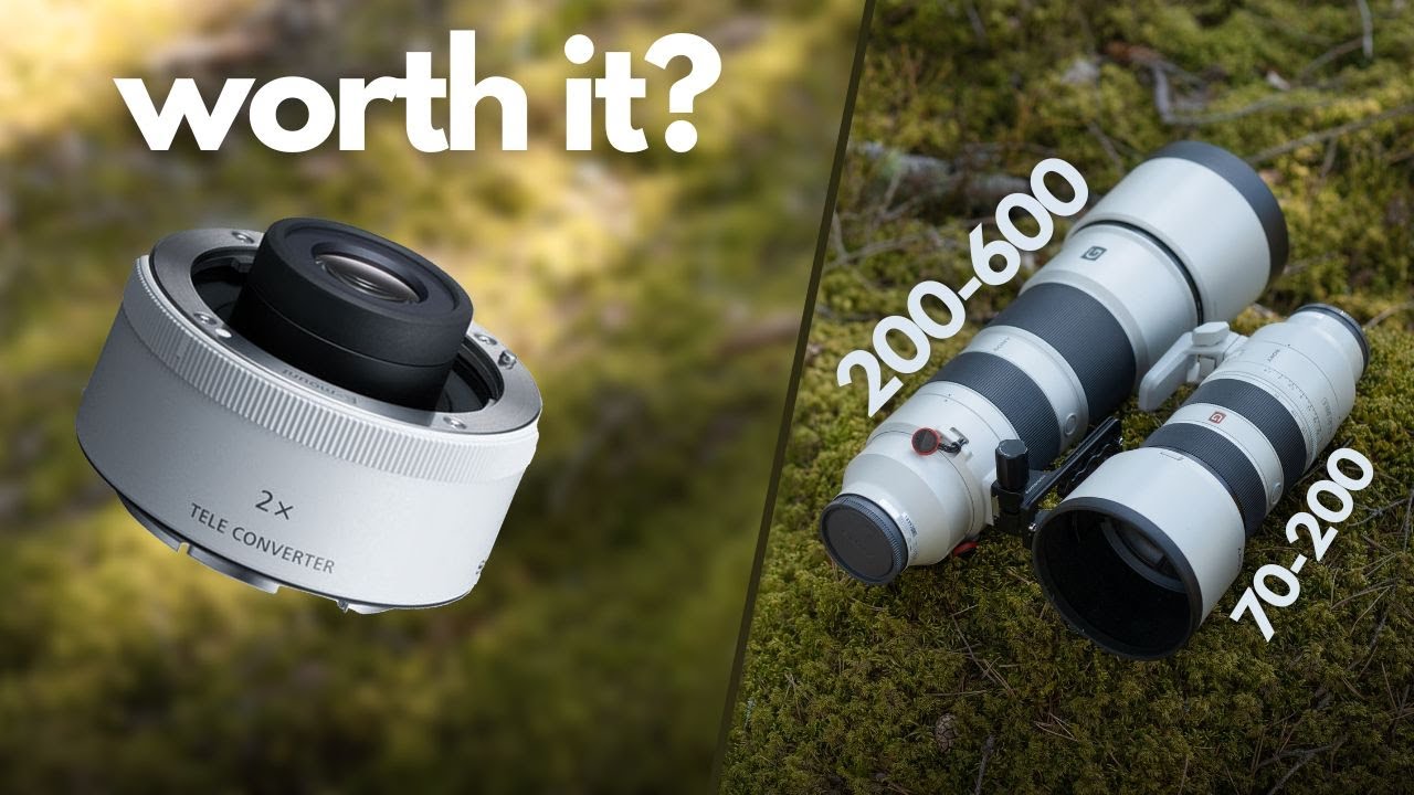 This makes the Sony 70-200 perfect for WILDLIFE Photography - YouTube