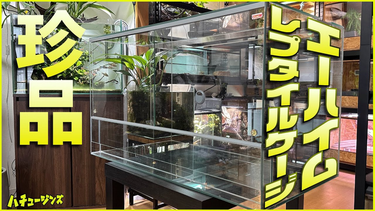 エーハイム ガラス 爬虫類 ケージ 引取り