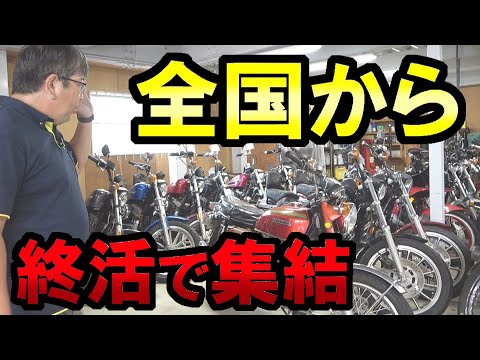 Shop tour [Ready-to-ship cars] We have rare and exquisite cars