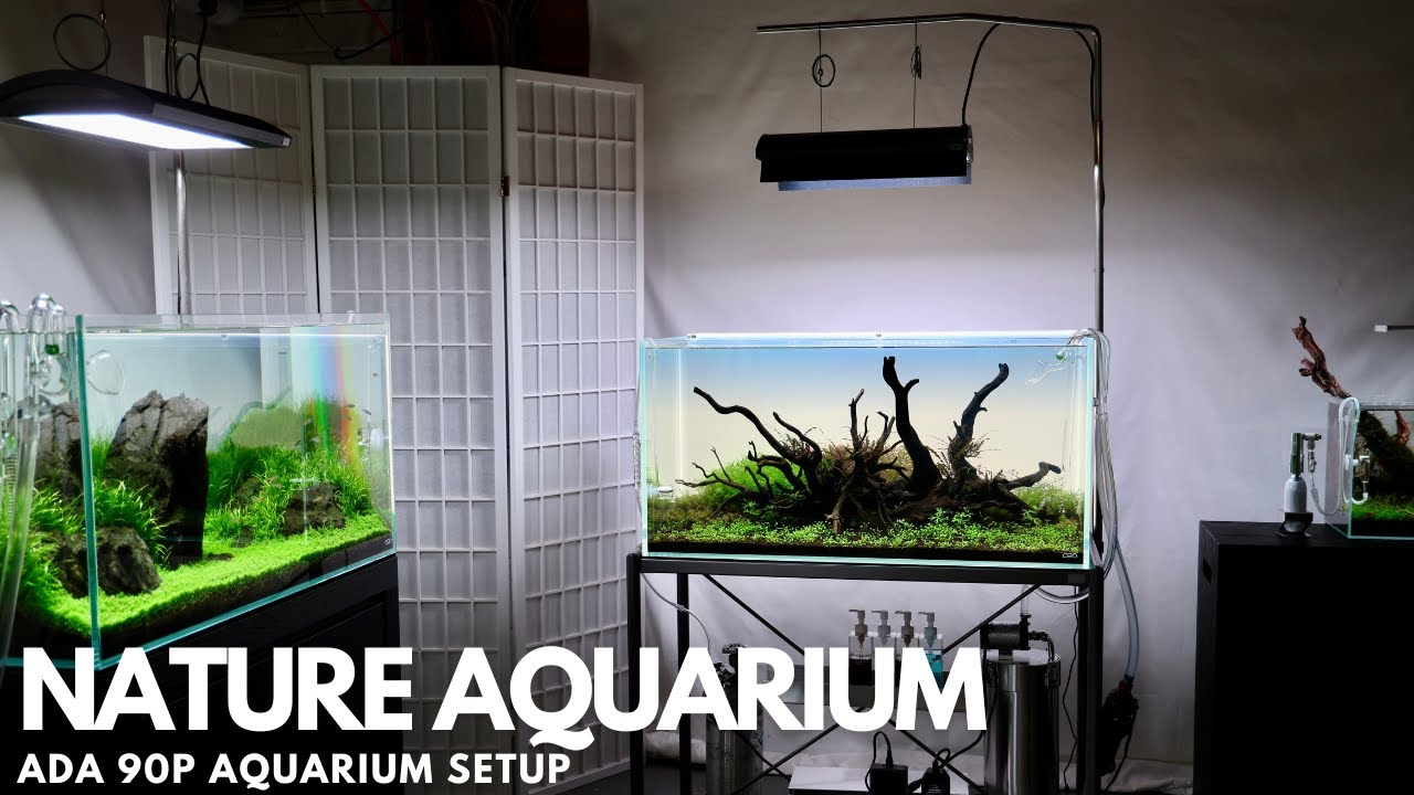 ADA Cube Garden 90P Rimless Aquarium (Ultra High Clarity Low Iron