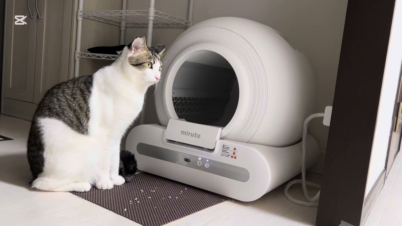 miruto（ミルト）猫トイレをレンタルして実証レビュー！説明書や解約