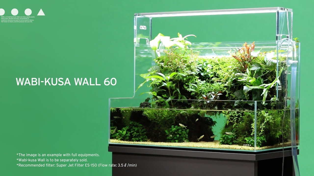 ADAview] DOOA Wabi-kusa Wall 60 Making layout - YouTube