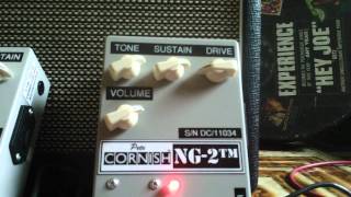 自作Pete Cornish NG-3（ファズ）/Mシルバー/直接プリント仕様 自作