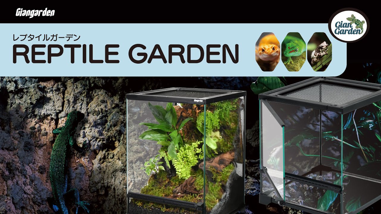 レプタイルガーデン3045 ジャイアンガーデン ガラスケージ 販売 通販