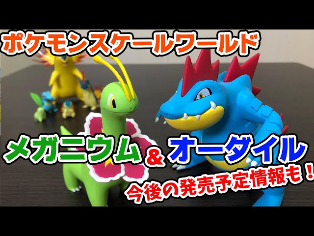 ポケモンスケールワールド ジョウト御三家 バクフーン メガニウム