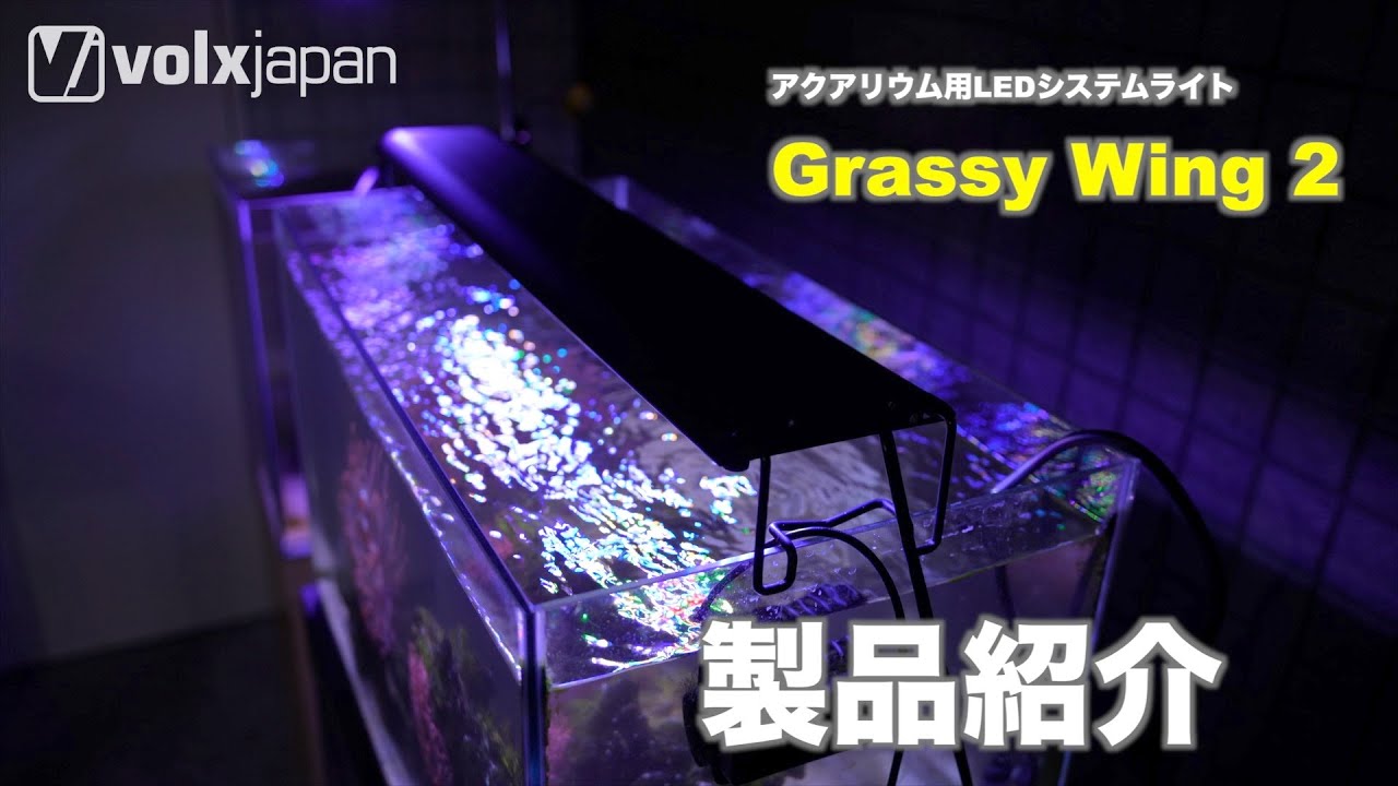 Grassy Wing2 60 グラッシー・ウィング2