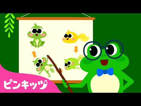 廃盤❤️「ケダモノ」ピン、「ポピー」ピン、「パピ」ピン、「カエル