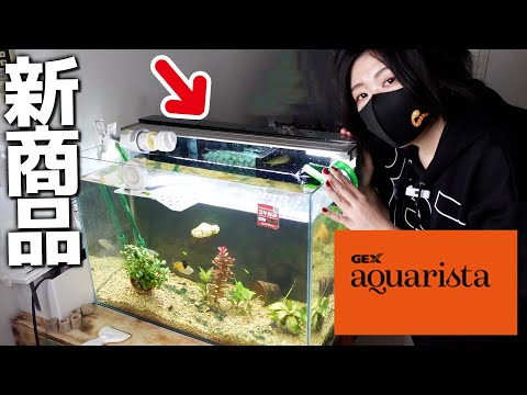 水槽の景観を崩さない最強フィルター「GLASS CUSTOM 600」を最速