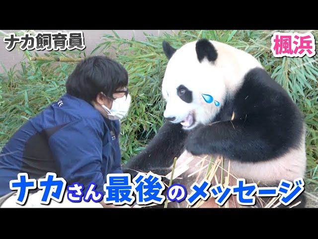 中国へも会いに行くからね」良浜☀︎彩浜☀︎結浜☀︎楓浜へ最後に語っ