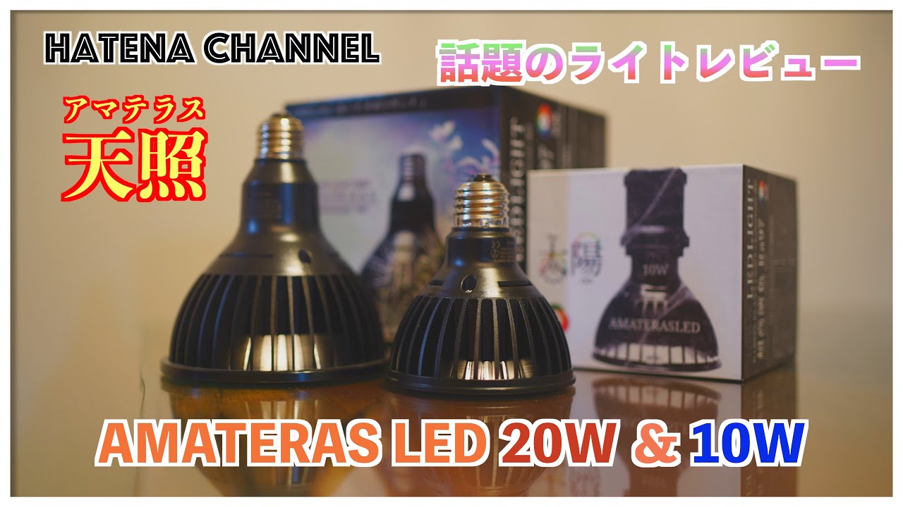 Trending Light] Amaterasu LED 20W & 10W Comparison Review: Amazing