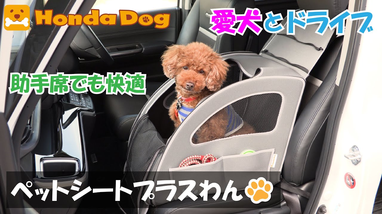 Honda純正】Honda Dog ペットシートプラスわん 【愛犬とドライブ