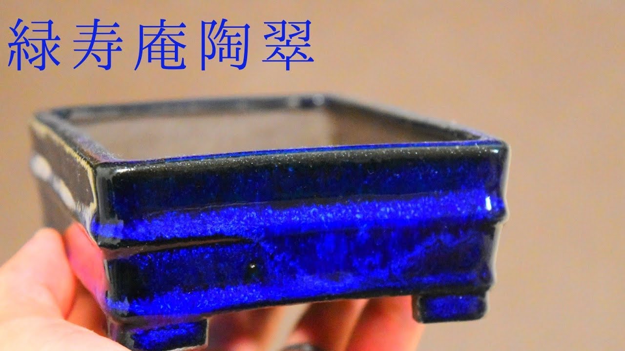 盆栽鉢紹介！緑寿庵陶翠鉢 RyokujuanTosui Bonsaipot - YouTube