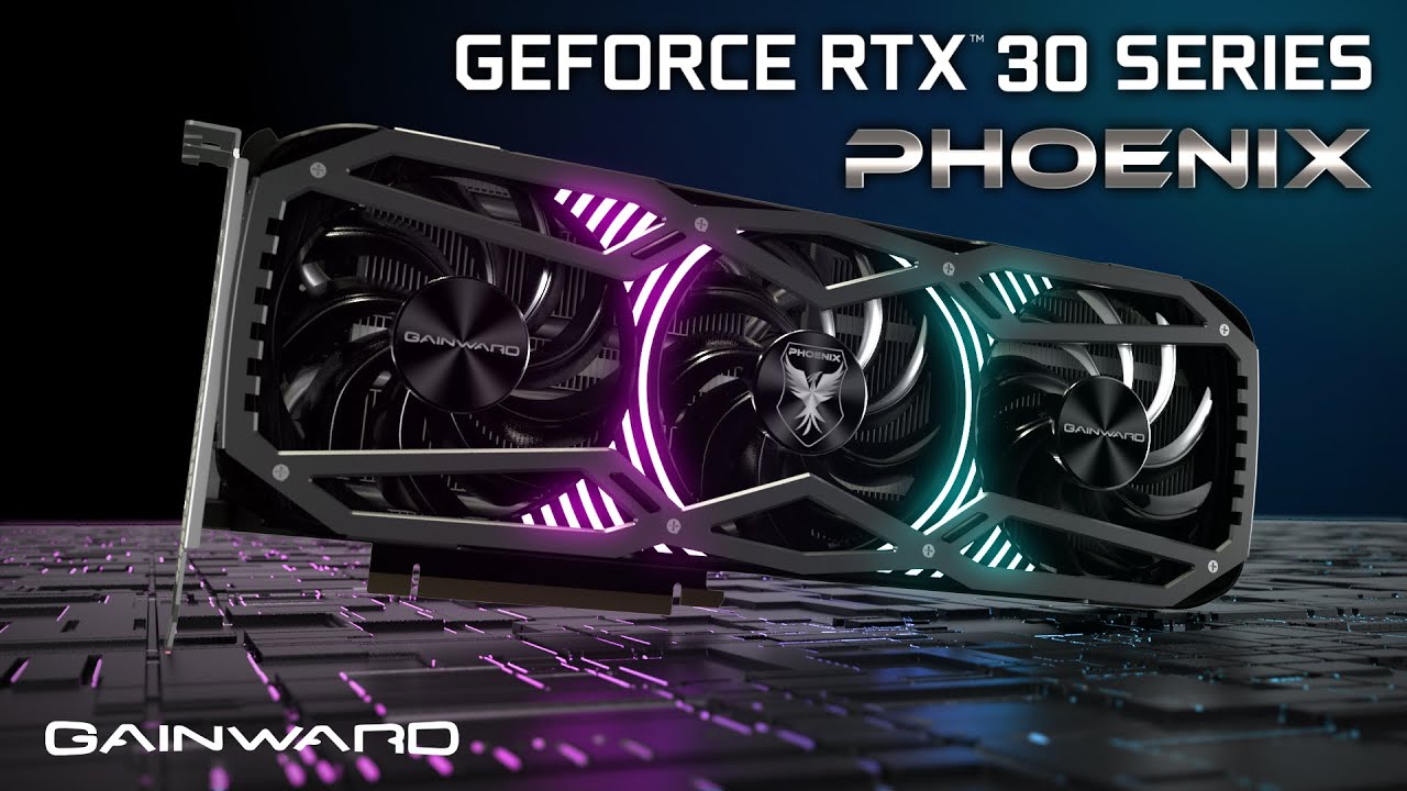 Gainward GeForce RTX3090 ファン外装なし 動作品 Gainward GeForce