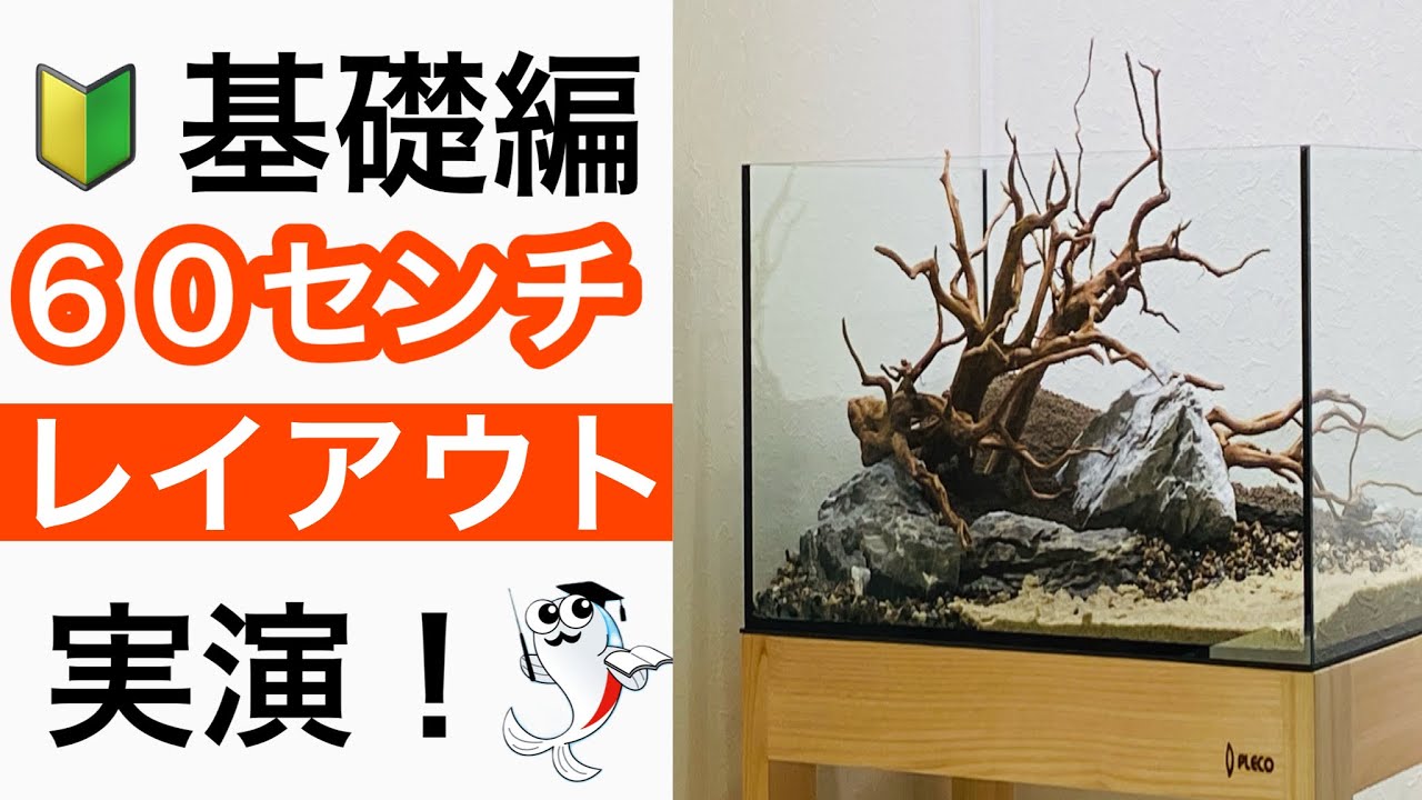 流木レイアウト A863 流木レイアウト A863 - メルカリ