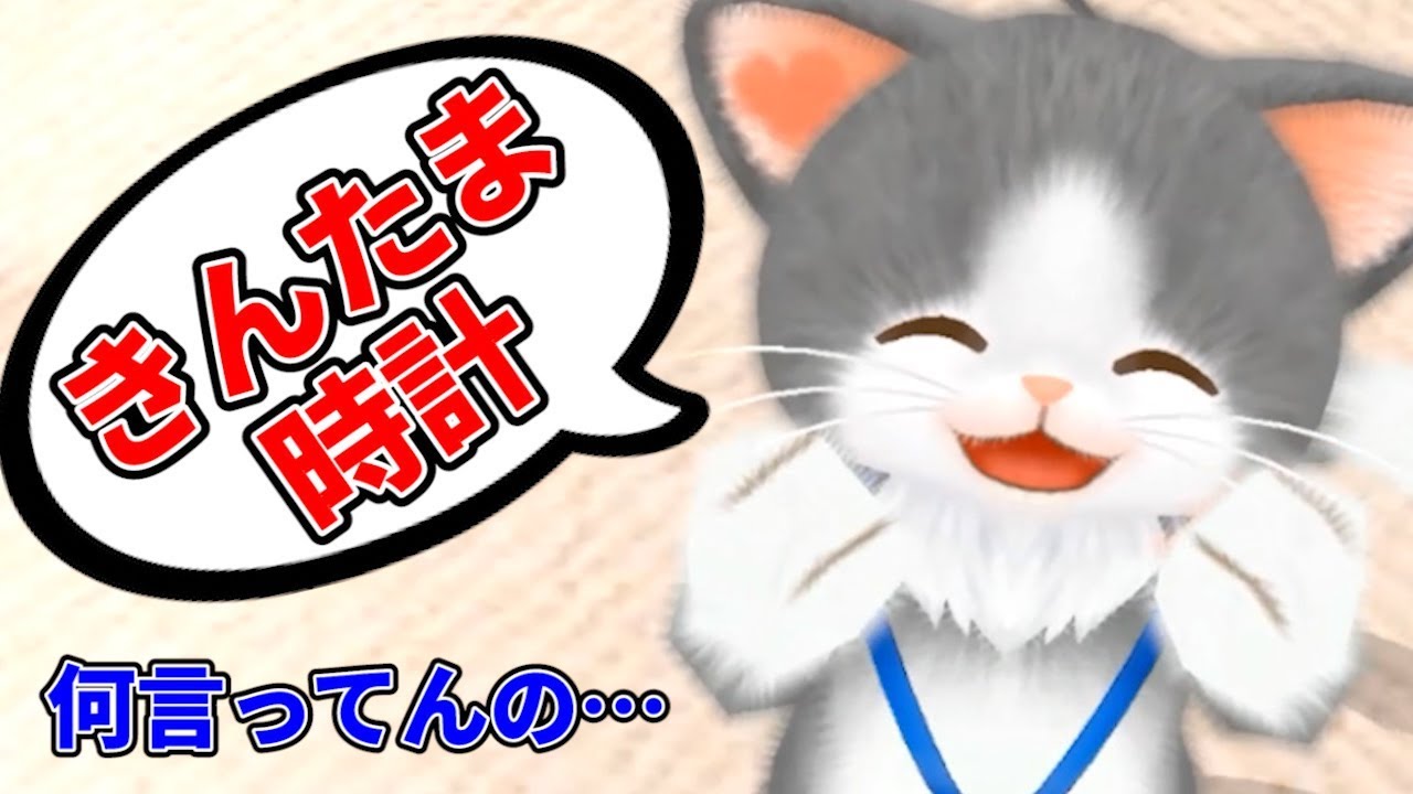 わけわからない言葉を喋り続ける暴走ネコ - YouTube