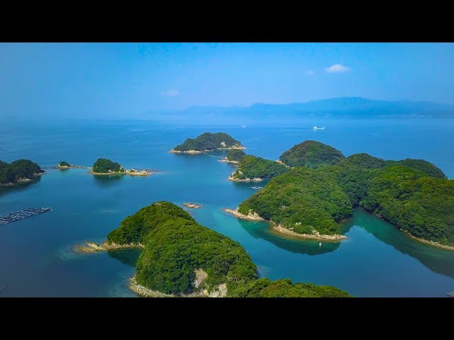 油絵（西海国立公園九十九島）F10号530mm x 455mm