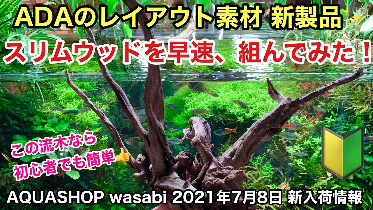 新製品！ADAスリムウッド流木を早速組んでみた！AQUASHOP