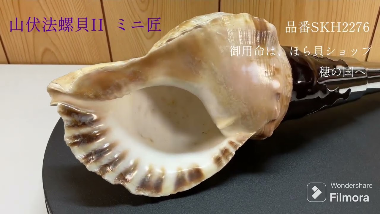 NO－1古いホラ貝、修行僧 山伏、魔よけ 和楽器 NO－1古いホラ貝、