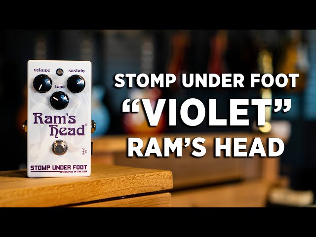 ギター stomp under foot / ram's head Stomp Under Foot Ram's Head