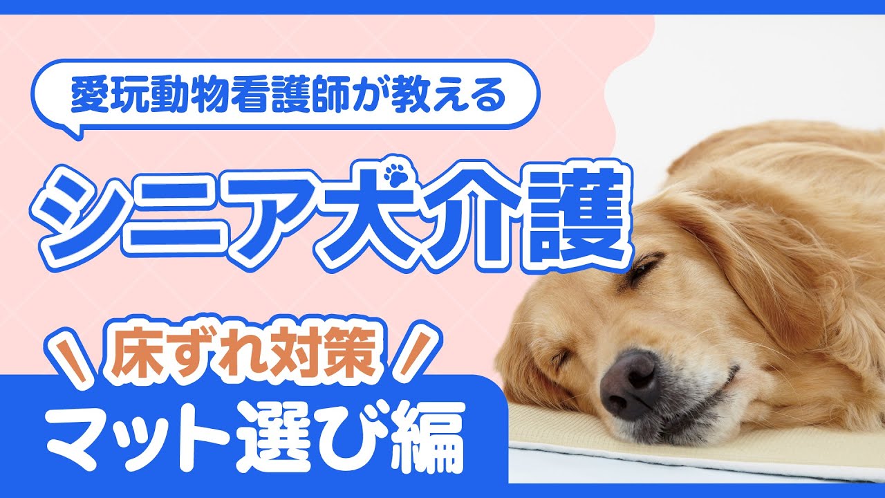 フィーヌエアーマット L・替えカバーのみ (犬 床ずれ防止 ブレスエア