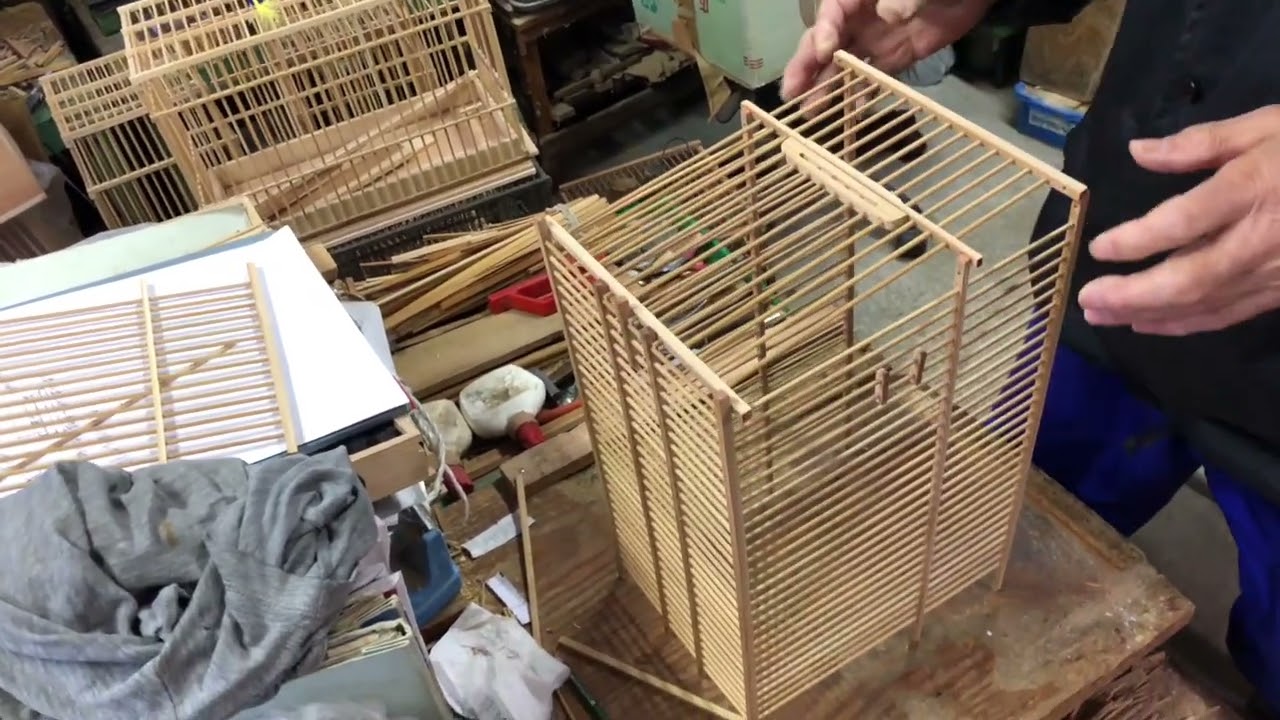 maxresdefault.jpg?sqp=-