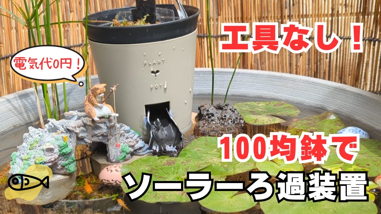 DIY】三段式外部ろ過装置（個人製作濾過装置）【メダカ・金魚・錦鯉の