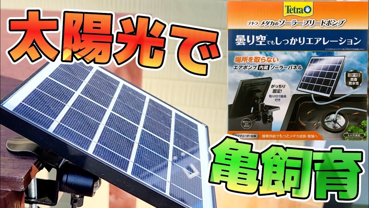 テトラ・ソーラーブリードポンプ】亀の屋外飼育での強い味方