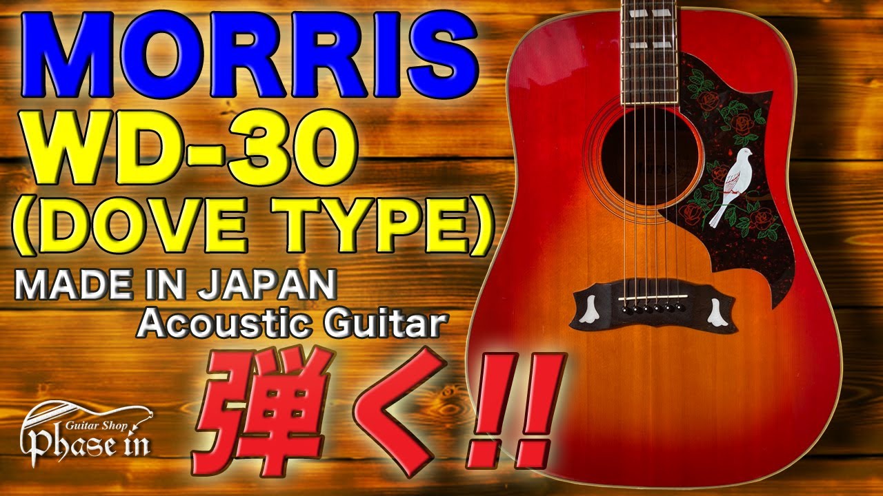 MORRIS WD-30 （DOVE TYPE）弾く！ - YouTube