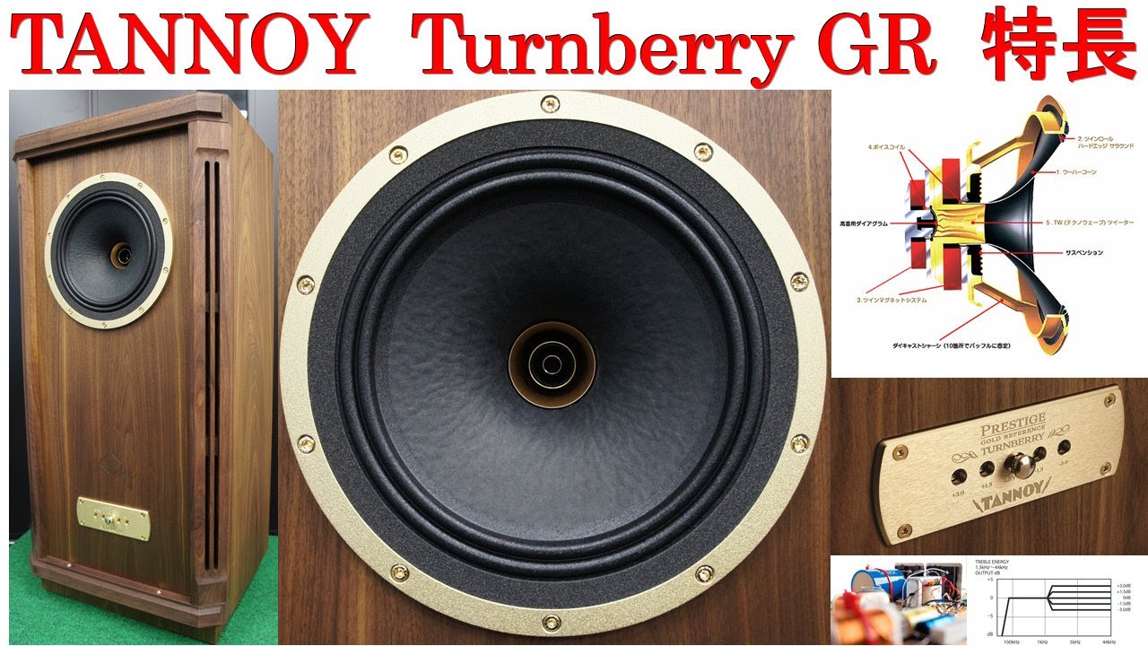 動作良好 】TANNOY EYRIS 1 ペア