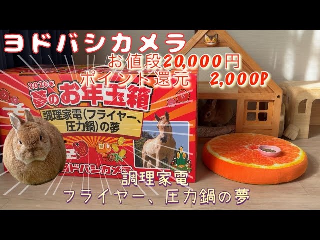 福袋当選】ヨドバシカメラ 夢のお年玉箱2026 調理家電(フライヤー